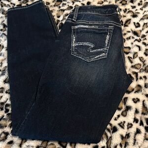 Silver Jeans Women's Dark Wash Skinny Jeans